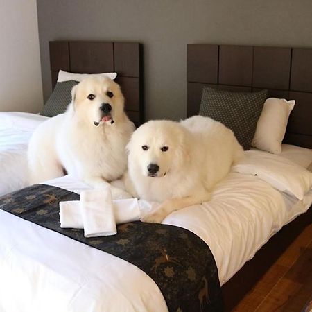 Miyajima Shiro Hotel ฮัทสึไคชิ ภายนอก รูปภาพ