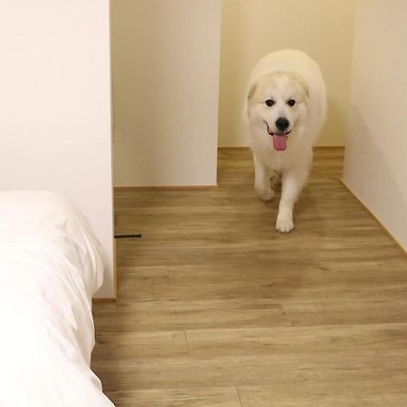 Miyajima Shiro Hotel ฮัทสึไคชิ ภายนอก รูปภาพ